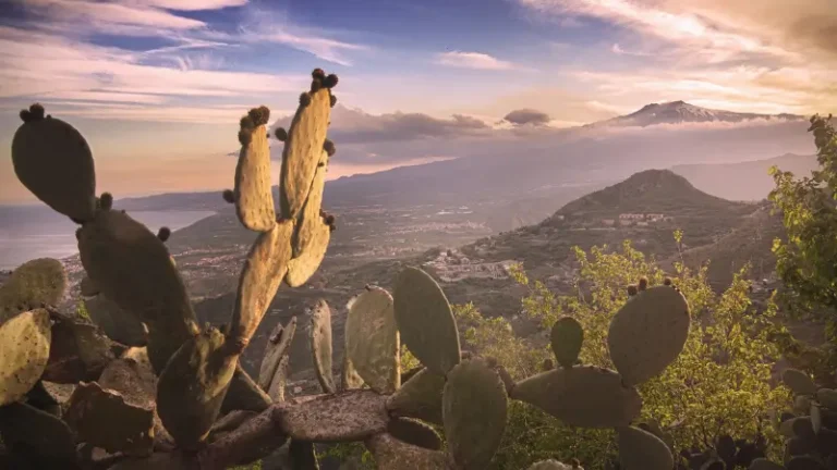 Scenic Sicilian landscape with cactus plants