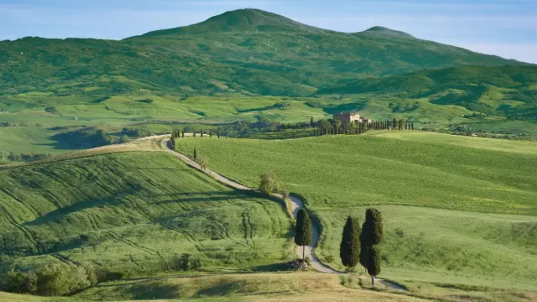 Family-friendly road trip through the Tuscany countryside, with cypress trees lining the way.